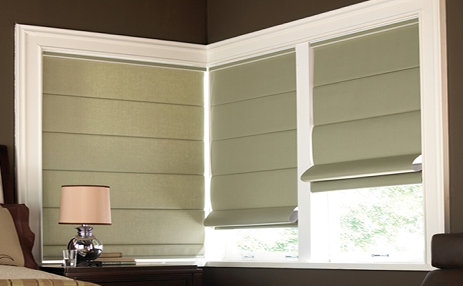 Banner - Budget Blinds - Roman 02